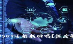 TP钱包被盗的USDT还能找回吗？深度解析与安全建