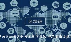 华为iPad用户如何下载TP钱包：详尽指南与技巧