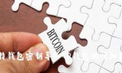 比特钱包密钥导入TP钱包的详细指南