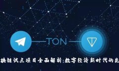 上海区块链试点项目全面解析：数字经济新时代