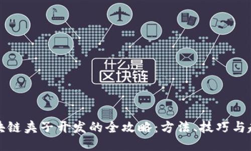 区块链夹子开发的全攻略：方法、技巧与趋势