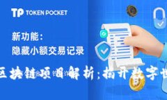 十大无币化区块链项目解析：揭开数字世界的新