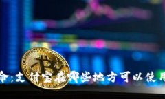 数字钱包革命：支付宝在哪些地方可以使用的全
