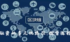 区块链融资的多元化路径：探索选择与机遇
