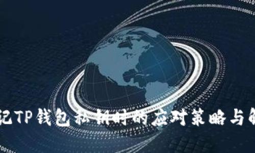 当您忘记TP钱包私钥时的应对策略与解决方案