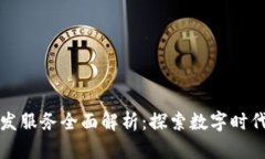 区块链开发服务全面解析：探索数字时代的新机