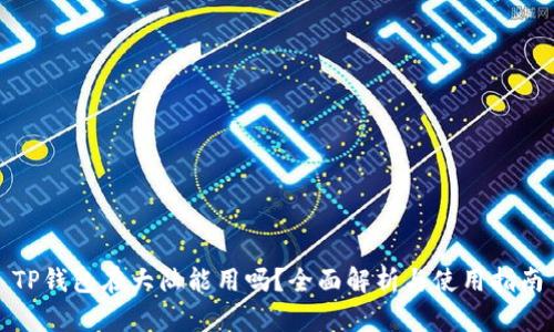 TP钱包在大陆能用吗？全面解析与使用指南