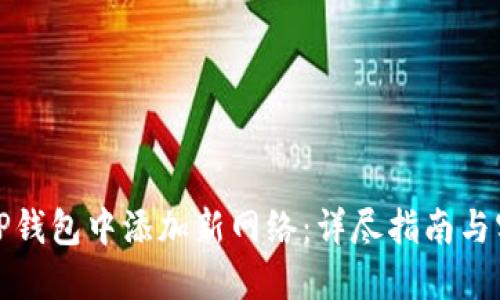 如何在TP钱包中添加新网络：详尽指南与实用技巧