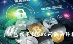 解决t p钱包找不到BSC问题的终极指南