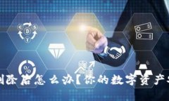 TP钱包删除后怎么办？你的数字资产安全指南