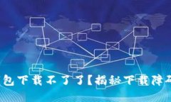  为什么TP钱包下载不了了？揭秘下载障碍与解决