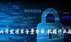区块链国内开发项目全景分析：把握行业趋势与