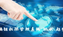 深入解析区块链权限管理系统：现状、趋势与案
