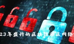 全面解析：2023年盛行的区块链社区网络及其发展
