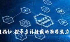 区块链揭秘：探寻多样链圈的独特魅力与潜力
