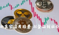 探寻区块链技术的真实应用场景：从金融到社会