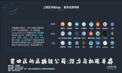 莆田区的区块链公司：潜力与机遇并存