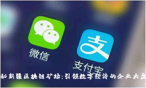 探秘新疆区块链矿场：引领数字经济的企业大盘点