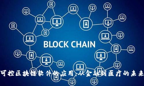 探索可控区块链软件的应用：从金融到医疗的未来趋势