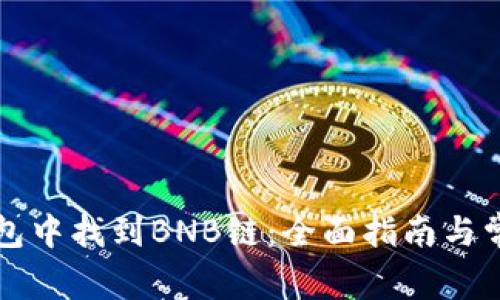 如何在TP钱包中找到BNB链：全面指南与常见问题解答