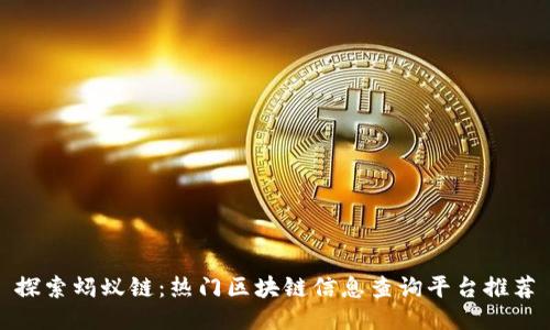 探索蚂蚁链：热门区块链信息查询平台推荐