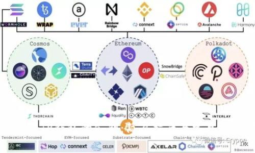 如何找到TP钱包的公钥：简易指南与常见问题解答