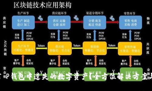 如何找回T P钱包中遗失的数字资产？全方位解决方案与实用技巧