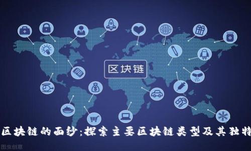 揭开区块链的面纱：探索主要区块链类型及其独特魅力