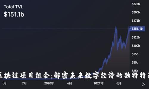 区块链项目组合：解密未来数字经济的独特特征
