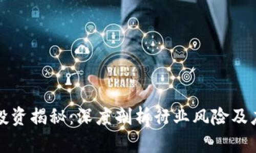 区块链投资揭秘：深度剖析行业风险及应对策略