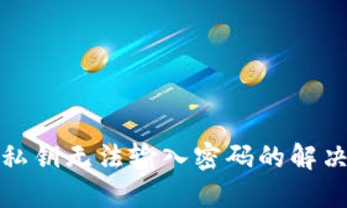 TP钱包导出私钥无法输入密码的解决方案与技巧