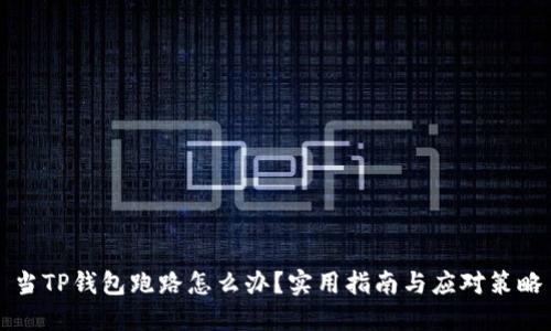 当TP钱包跑路怎么办？实用指南与应对策略