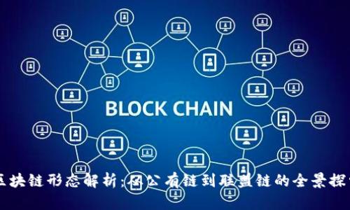 区块链形态解析：从公有链到联盟链的全景探索