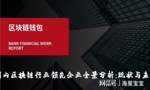 国内区块链行业领先企业全景分析：现状与未来