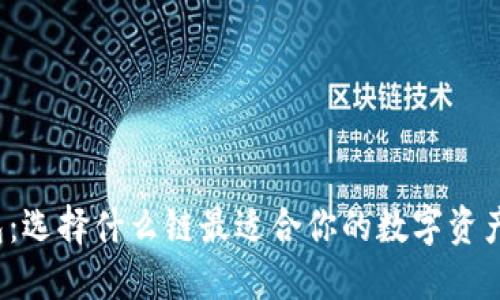 TP钱包：选择什么链最适合你的数字资产管理？