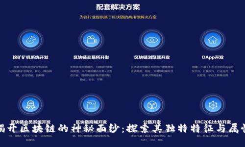 揭开区块链的神秘面纱：探索其独特特征与属性