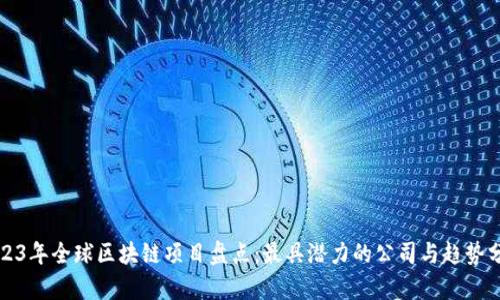 2023年全球区块链项目盘点：最具潜力的公司与趋势分析