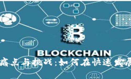 区块链孵化的痛点与挑战：如何在快速发展的领域中突围