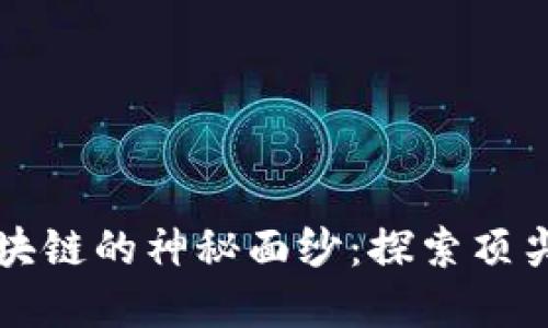 揭开底层区块链的神秘面纱：探索顶尖品牌与产品