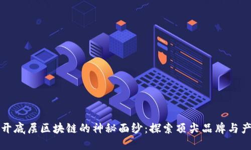 揭开底层区块链的神秘面纱：探索顶尖品牌与产品