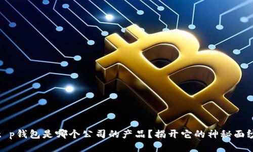 t p钱包是哪个公司的产品？揭开它的神秘面纱