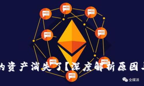 TP钱包里的资产消失了？深度解析原因与解决方案