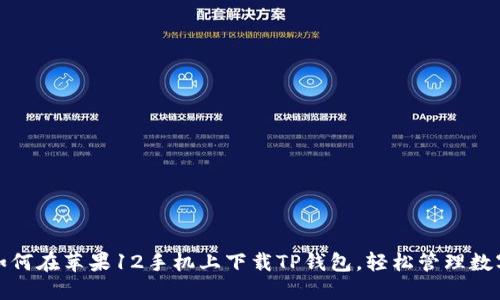 教你如何在苹果12手机上下载TP钱包，轻松管理数字资产