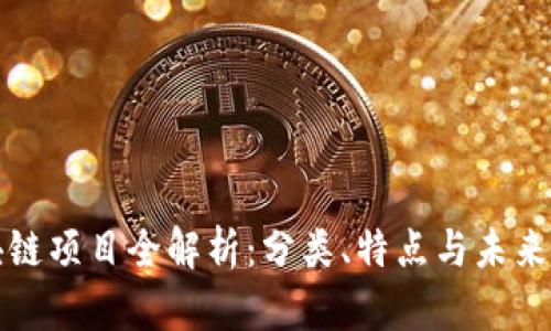 区块链项目全解析：分类、特点与未来趋势