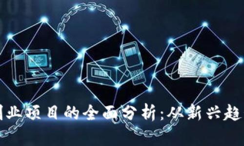 国外区块链创业项目的全面分析：从新兴趋势到实用案例