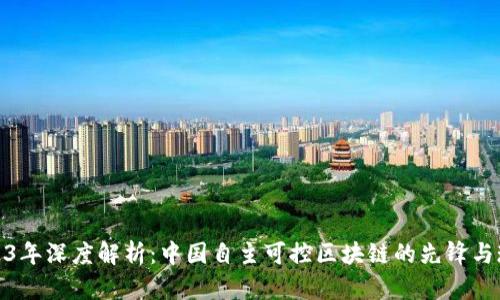 2023年深度解析：中国自主可控区块链的先锋与现状