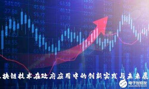 区块链技术在政府应用中的创新实践与未来展望