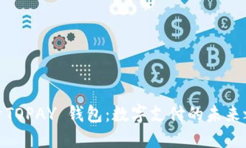 探索TOPAY 钱包：数字支付的未来之选
