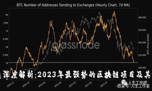 优质深度解析：2023年最强势的区块链项目及其潜力