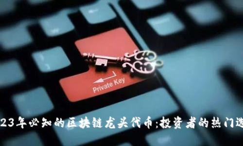 2023年必知的区块链龙头代币：投资者的热门选择